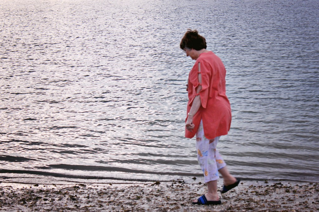 sanibel shell seeker fort myers florida photographer