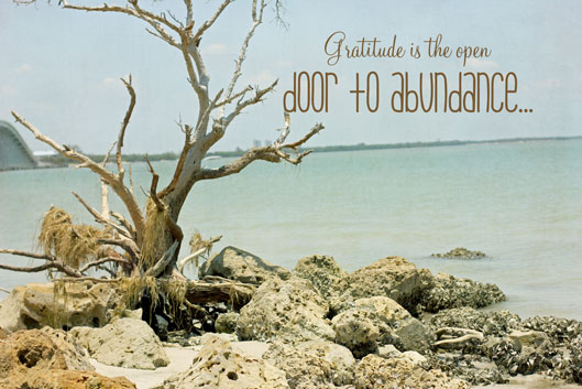 gratitude door to abundance image