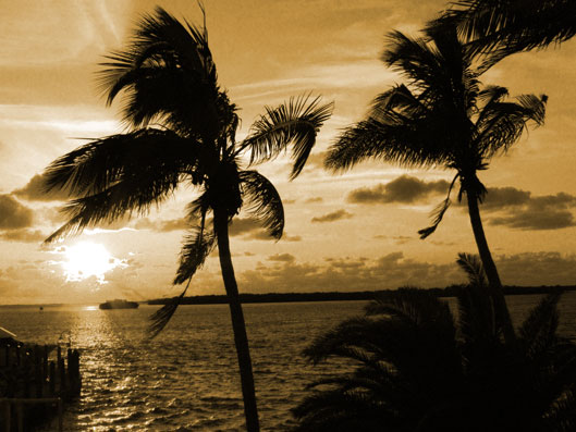sanibel harbor sunset fort myers florida photographer
