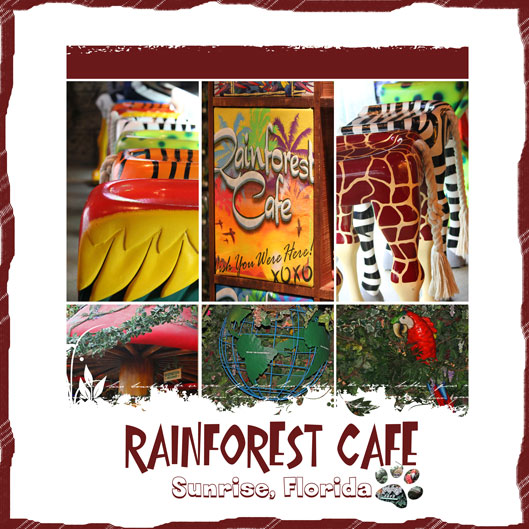 rainforest-cafe-collag fort myers florida photographer
