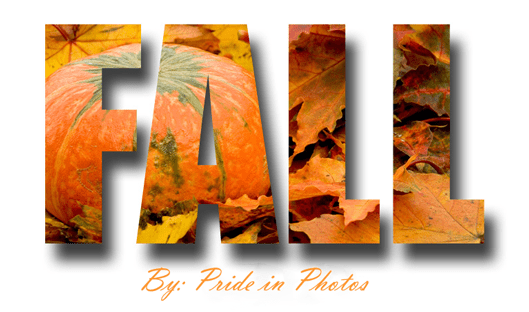 fall-by-pride-in-photos