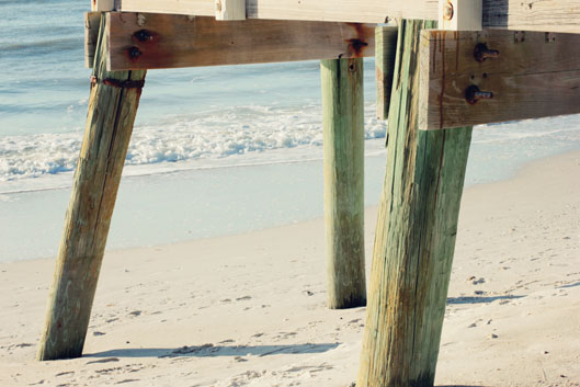boardwalk-pilings-on-clam-p