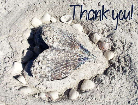 heart-shell-art-thank-you-s