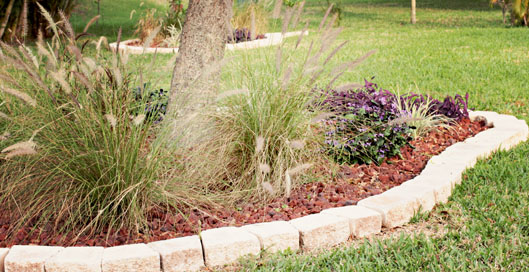 IMG_8459envy_edited-1