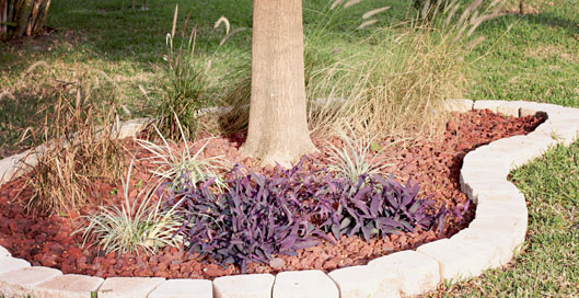 IMG_8462 envy_edited-1