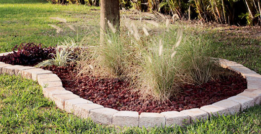 IMG_8465envy_edited-1