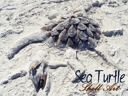 sea-turtle-shell-art-casa-y