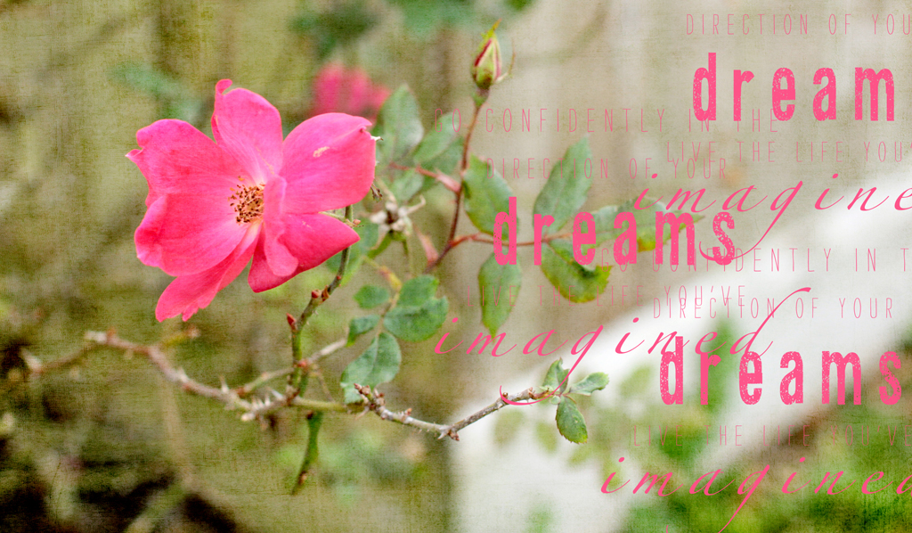 go-confidently-in-your-drea