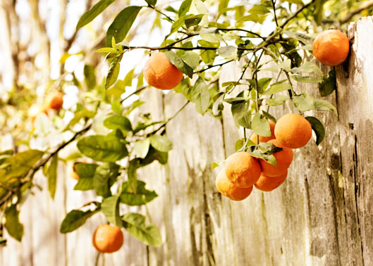 IMG_8749-texturize--43a