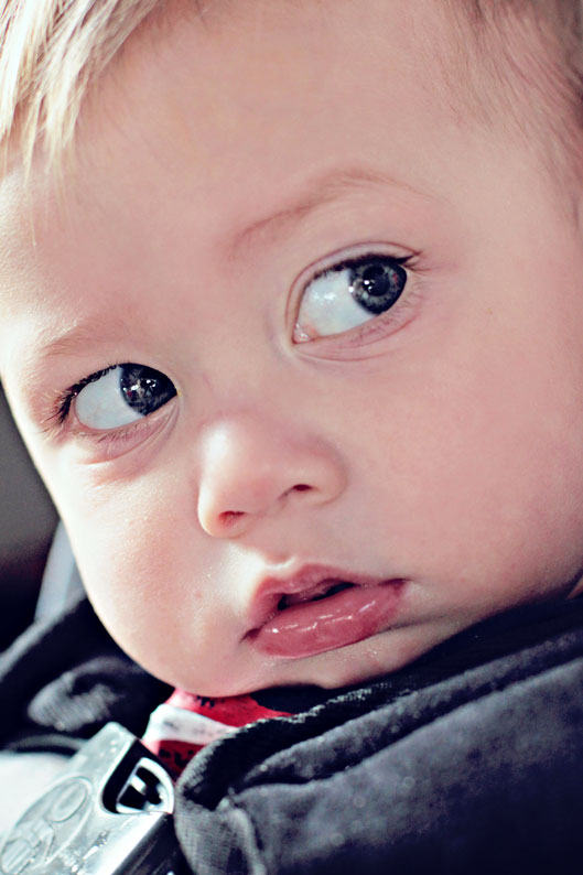 one-year-old-boy-in-car-bea