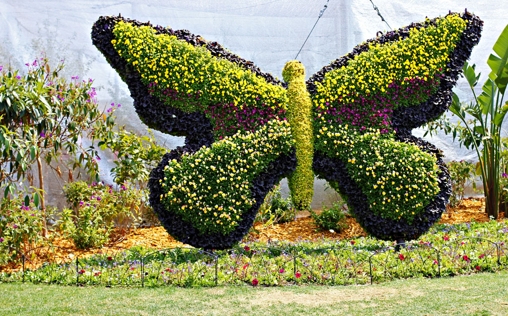 butterfly-scultured-bush-fl