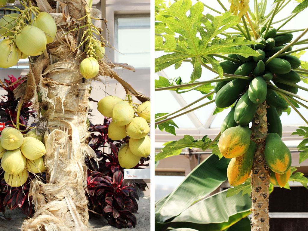 gardens-in-epcot-the-land-r