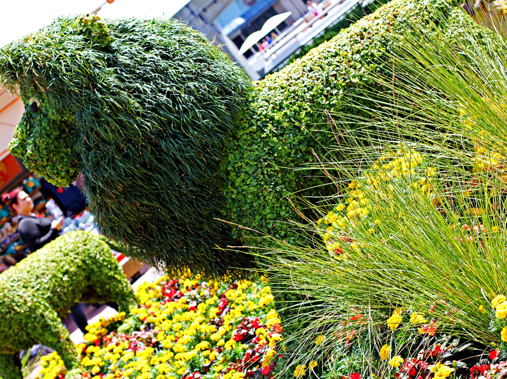 lion-sculture-bush-flower-f
