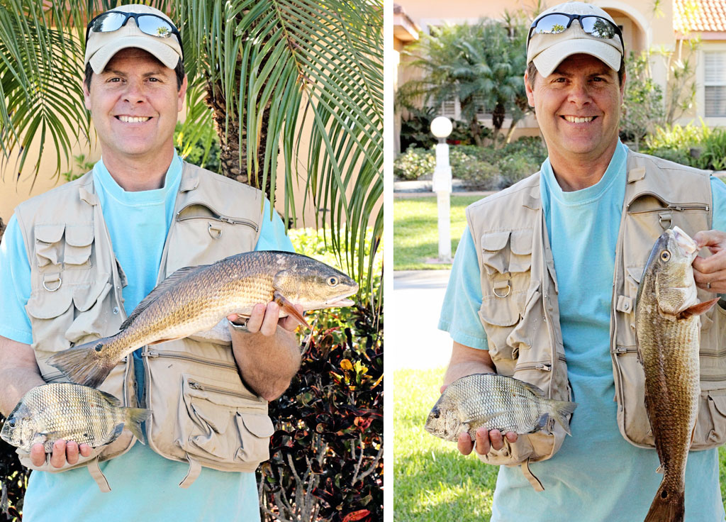 redfish-and-sheephead