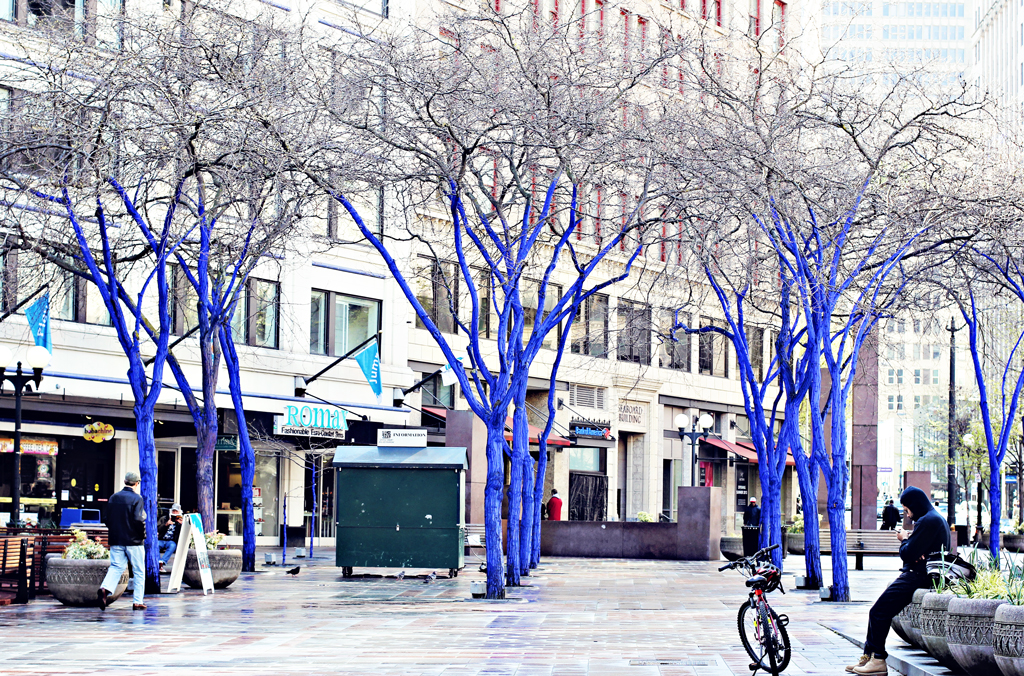 blue-trees-downtown-seattle