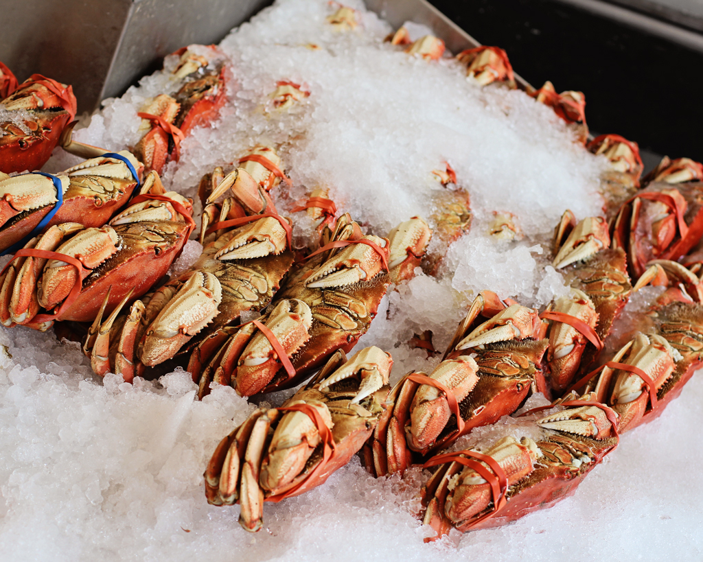 lobsters-at-pike-market-seattle