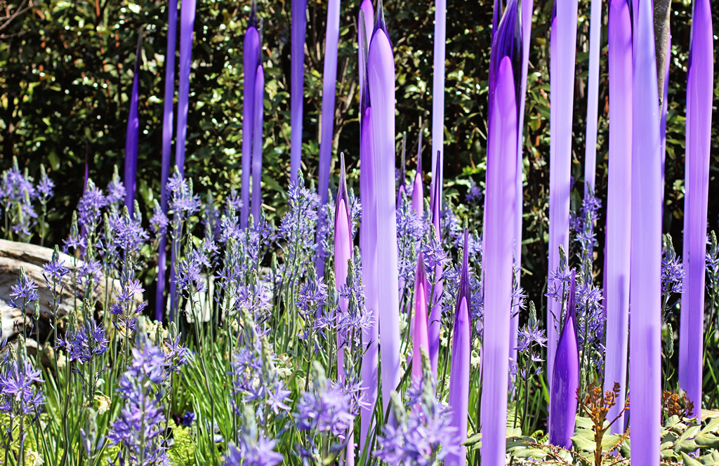 outdoor-glass-purple-garden
