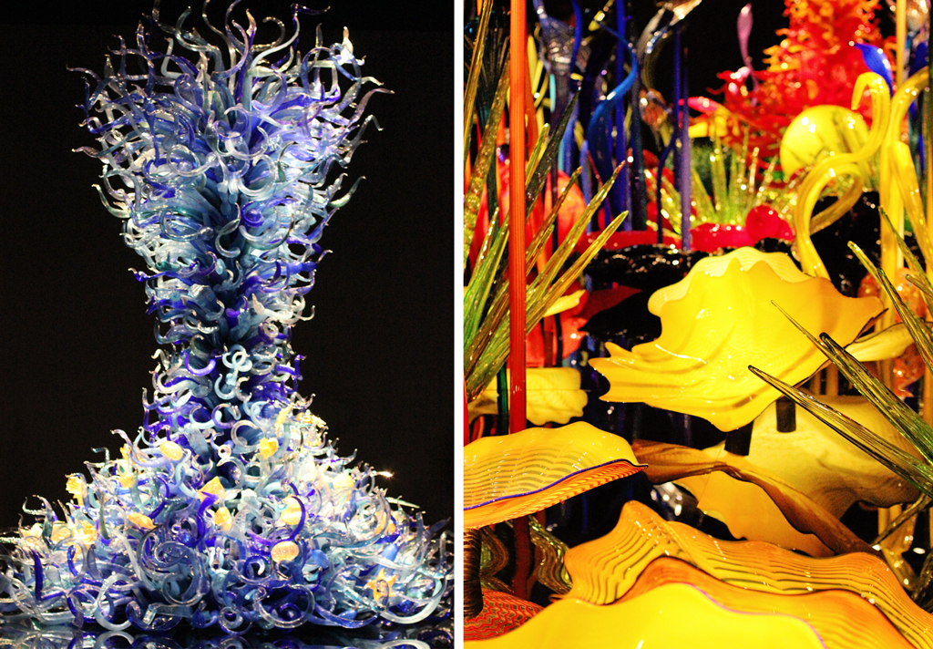 sealife-room-chihuly-garden