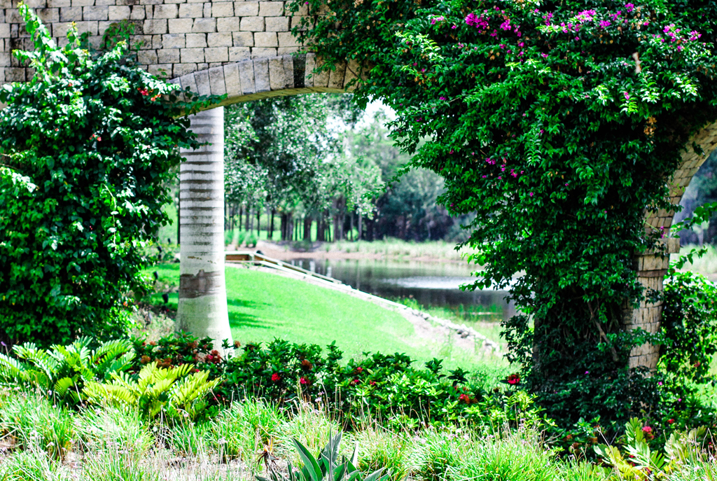 arch-trellis-gardens
