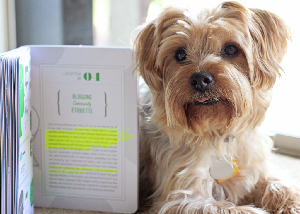 dog-book-review-yorkshire-terrier