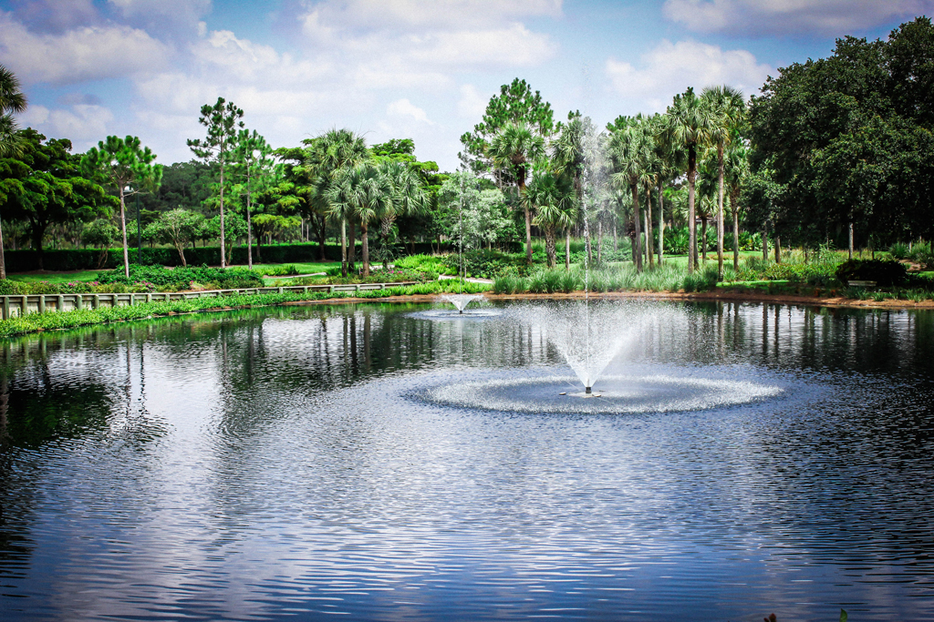 picture-perfect-landscaping-florida-fountains