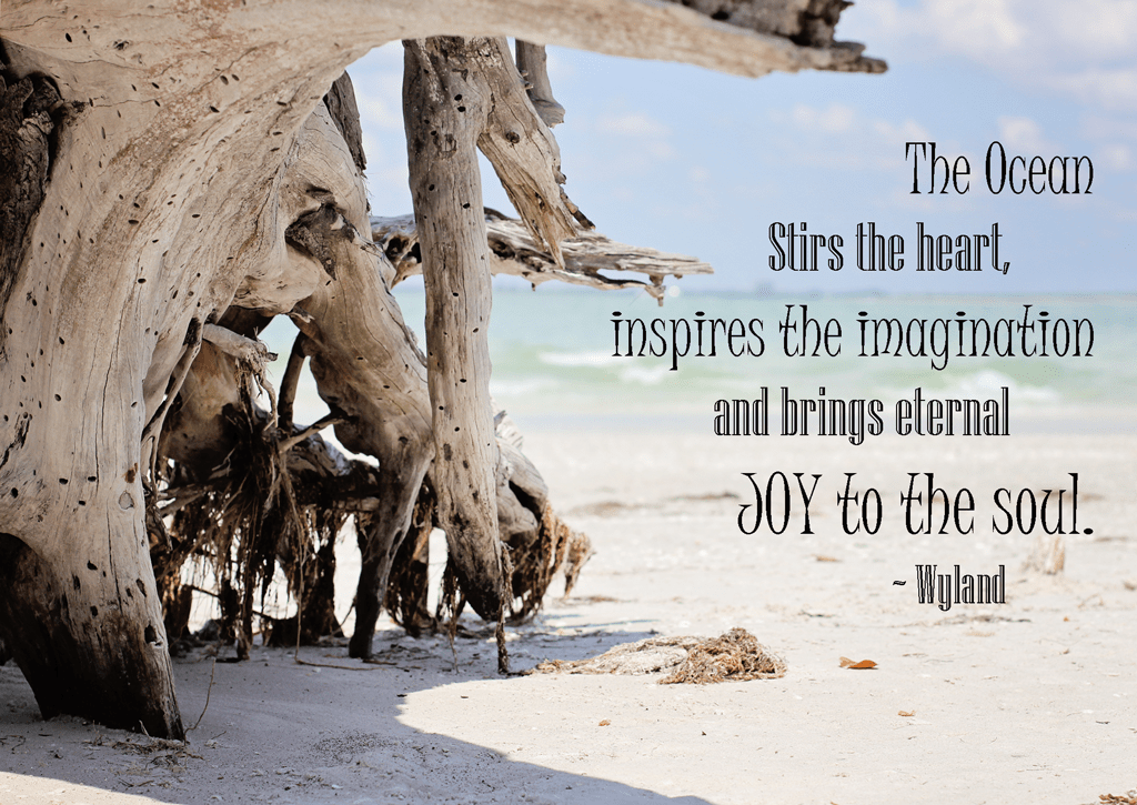 the-ocean-stirs-the-heart-quote