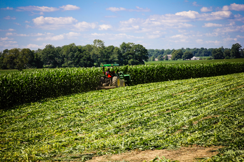 farmland-indiana3