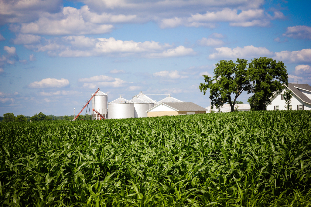farmland-indiana5