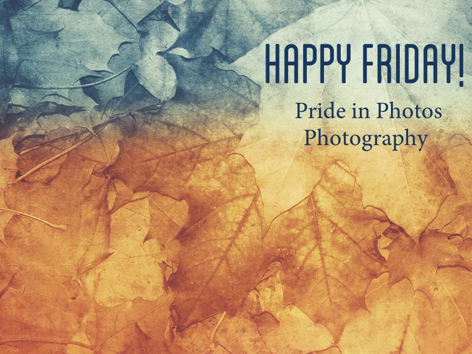 Happy Friday pride in photos photography