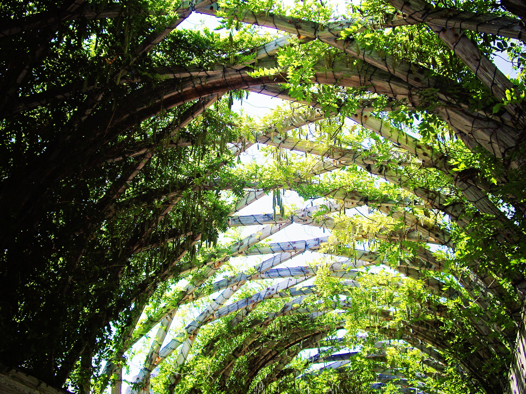 trellis-ceiling-christopher-columbus-park-boardwalk
