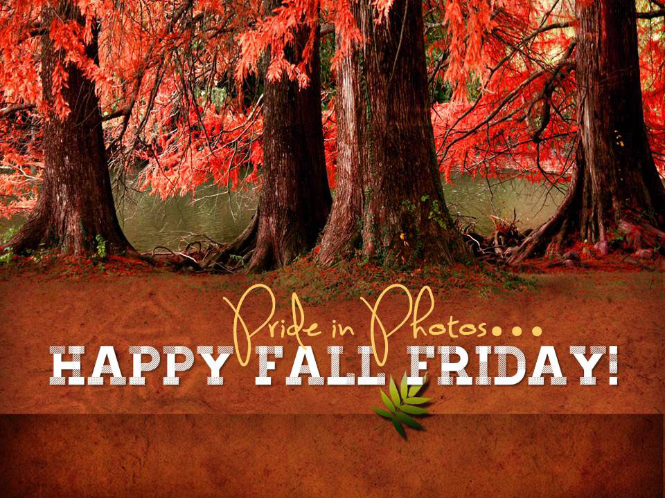 Happy-Fall-Friday