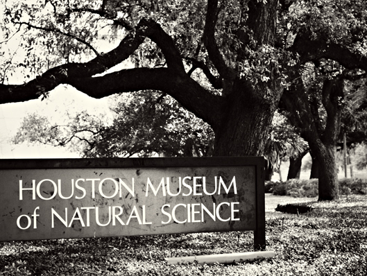 houston-museum-ofnatural-sc