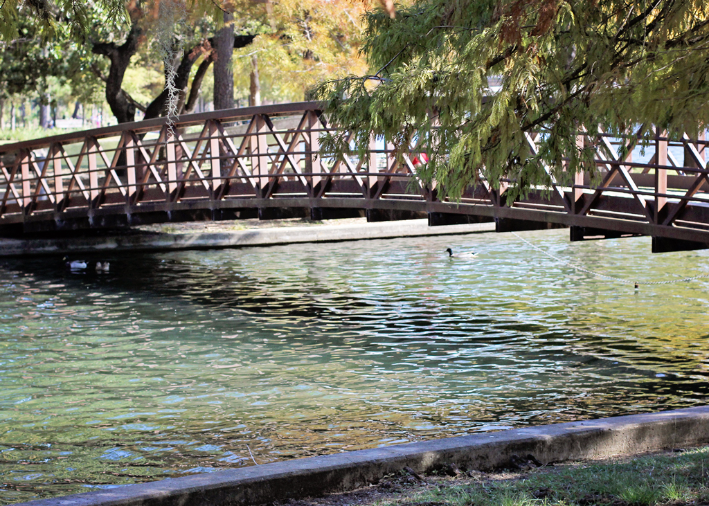 bridge-over-lake-hermann-park-texas