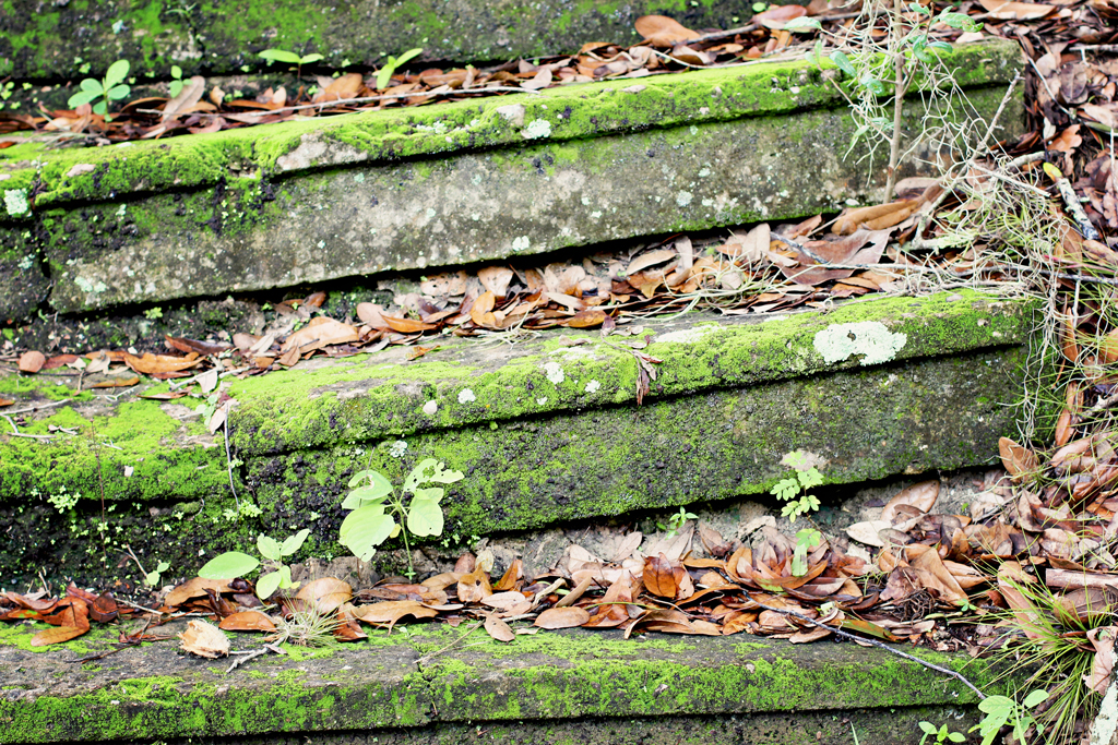 original-stairs-from-estero-river-to-general-store-koreshan-community