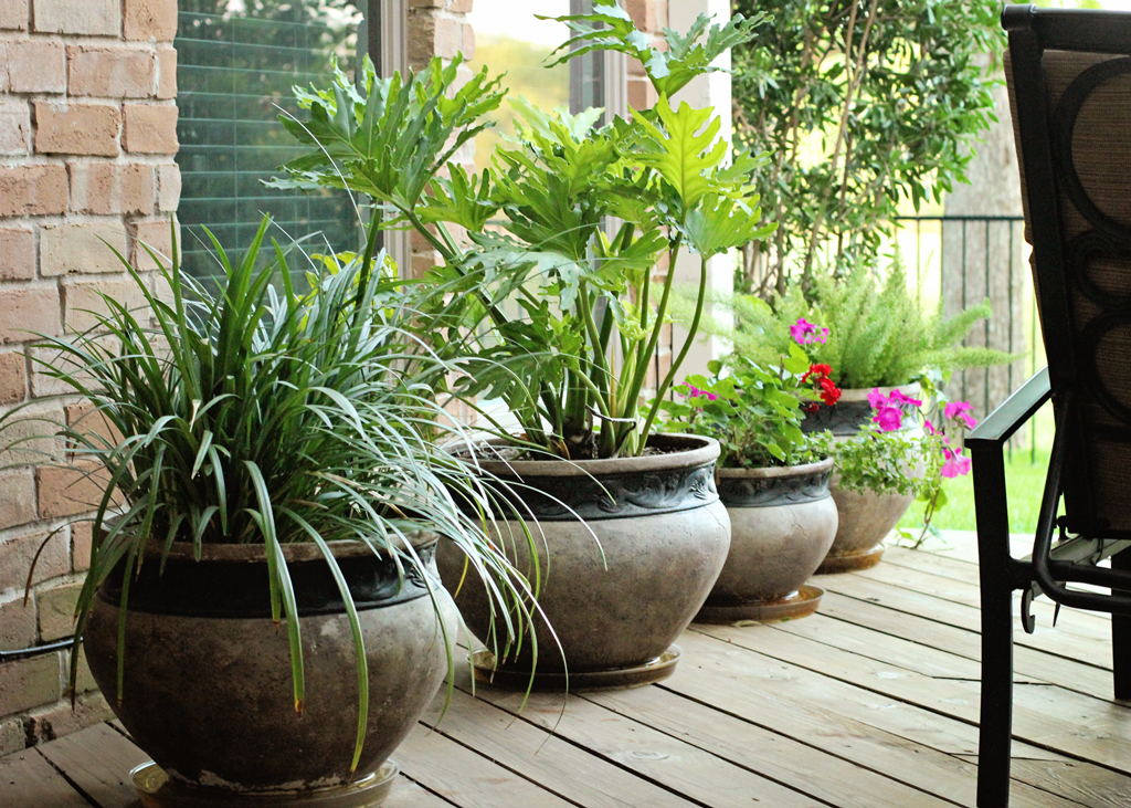 flower-pots-on-outside-deck