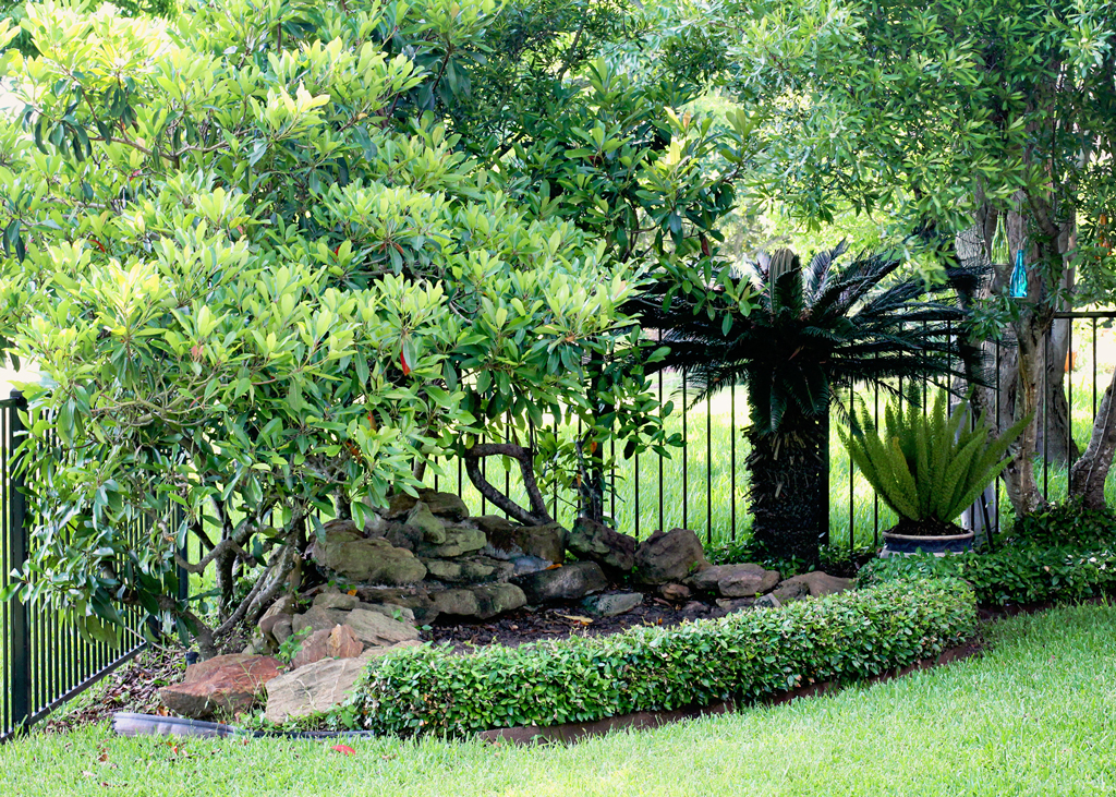 landscaping-ideas-for-your-yard