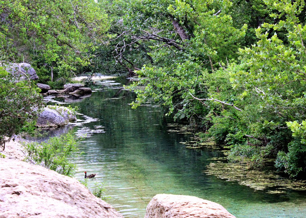 blue-waters-of-cypress-creek-tx