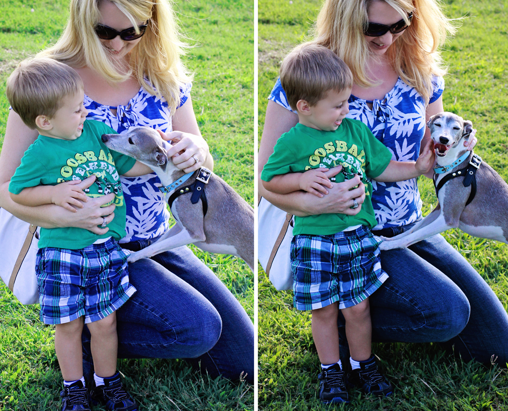 nolan-at-the-dogpark-sugarland-texas