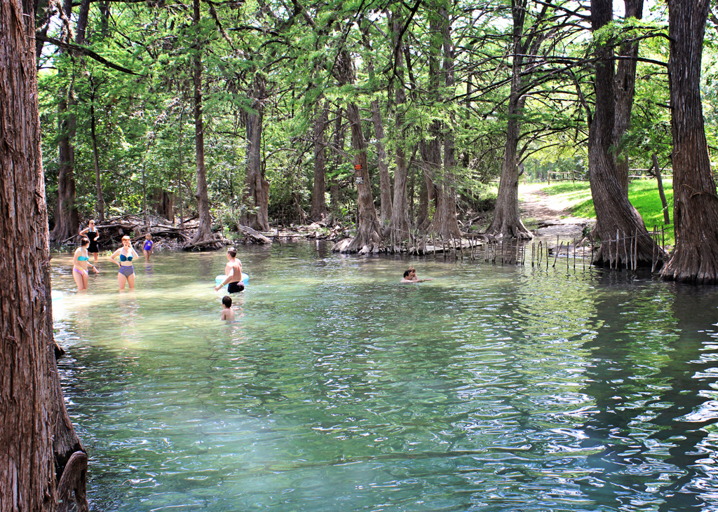 swiming-in-cypress-creek-wimberely-texas