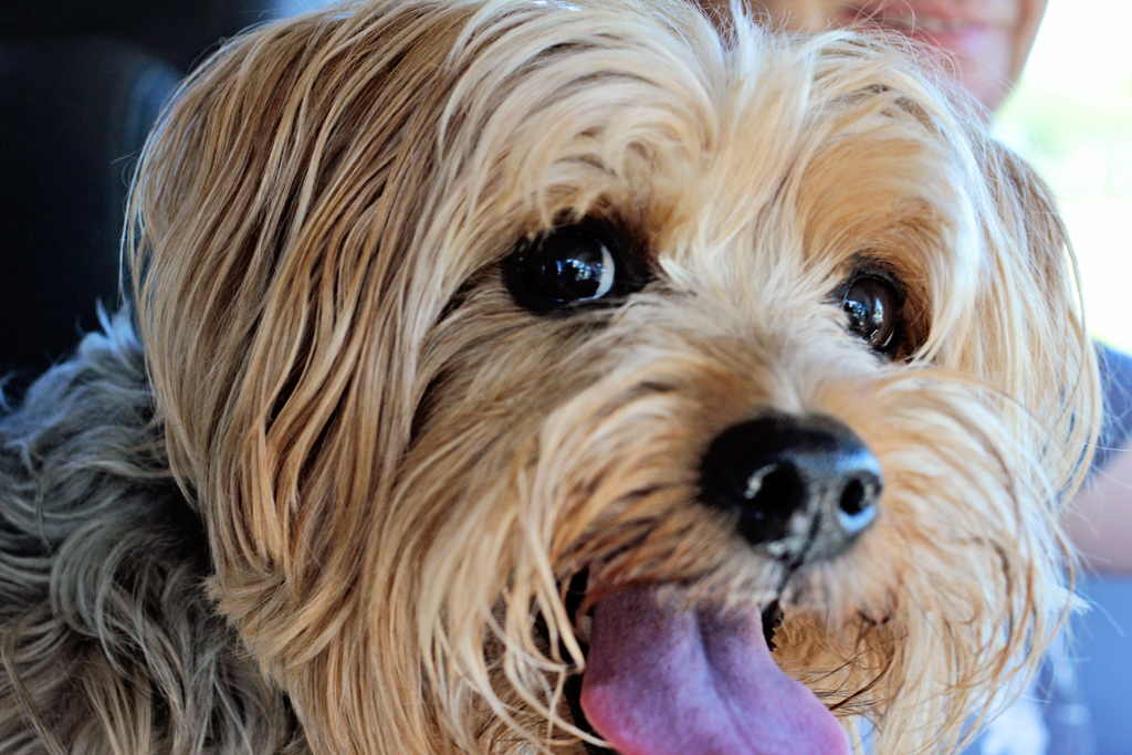 brazos-state-park-2014