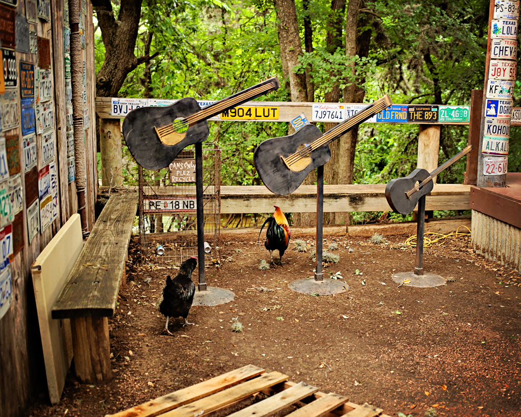 +Luckenbachtxlicenseplateschickens