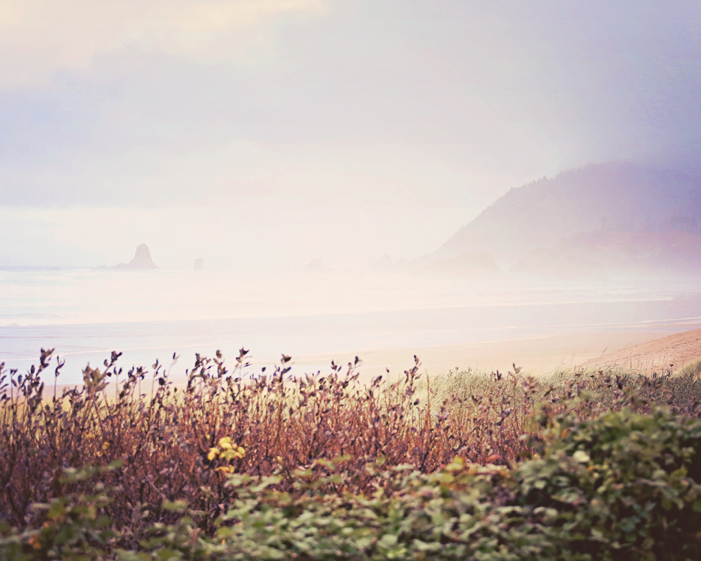 canonbeachoregonshoreline