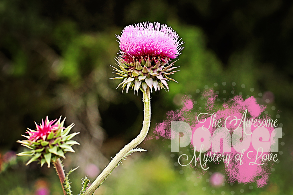 +Theawesomepoweroflove