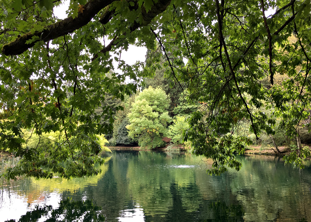 laurelhurstparkportlandoregon